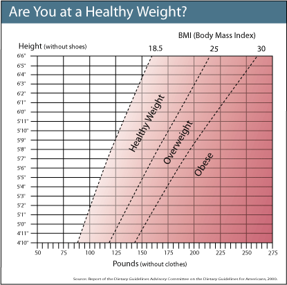 Obesity BMI Weight Loss 
